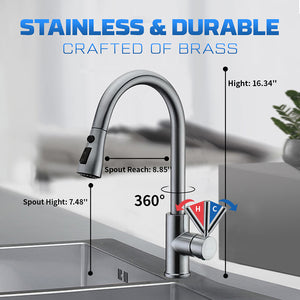 INOVIX Single Kitchen Faucet with Pull Down Sprayer Multiple Mode Kitchen Faucets