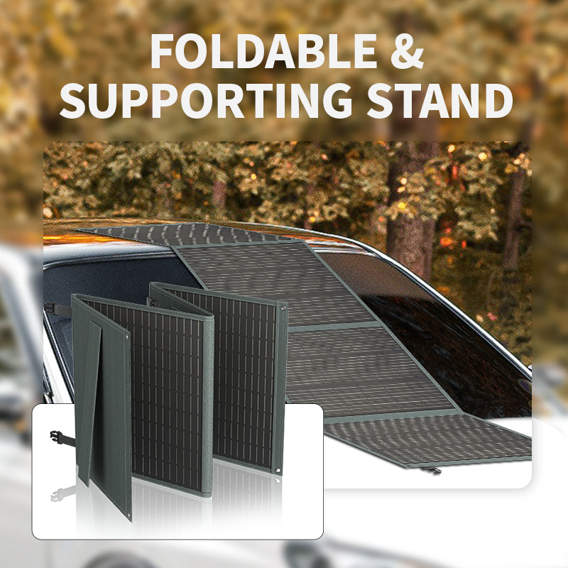 Powerwin Solar Panel PWS220 220W