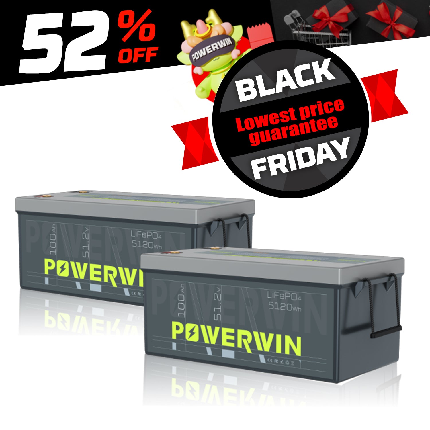 POWERWIN BT5120 48V 100Ah 5120Wh Lithium Battery 2 Pack 10240Wh